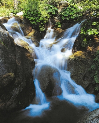 Poster Wasserfall Cascade Creek