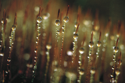 Grußkarte Melody of a Water Drop