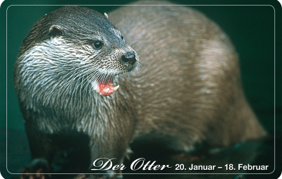 Scheckkarte Krafttier Otter